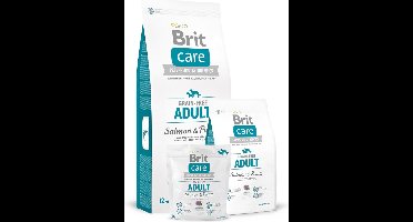 BRIT care hypo allergeen adult zalm graanvrij - 1kg