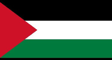 Vlag Palestina 30x45cm
