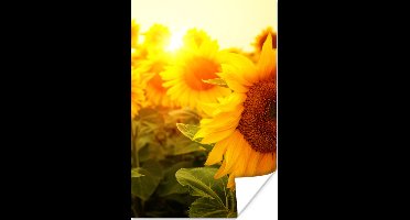 Poster Zonnebloem - Geel - Bloemen - Zon - 20x30 cm