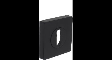 Intersteel Rozet sleutelgat vierkant mat zwart