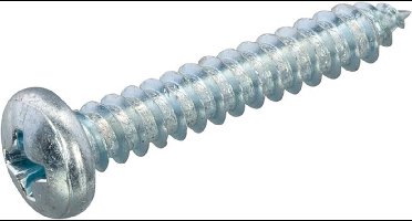 Hoenderdaal plaatschroeven 2.9 x 13 mm - cilinderkop - staal - verzinkt - zelftappend - Philips (Per 200 stuks)