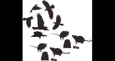 Halloween Muurgriezels - Ratten & Kraaien - Wand- en Raamdecoratie - 24 stuks