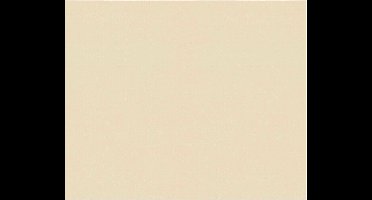 La Cucina Herbruikbaar bakpapier - 40 x 33 cm - anti kleef - bakfolie - 1x vel - tot 50x gebruik - hittebestendig tot 230 graden