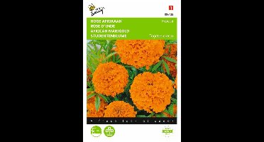 Hoge Afrikaan Hawaii oranje - Tagetes erecta