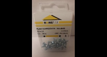 Homefix Plaatschroeven-Verzinkt 3.5x13 30 Stuks