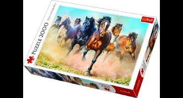 Trefl Trefl 2000 - Galopperende kudde paarden