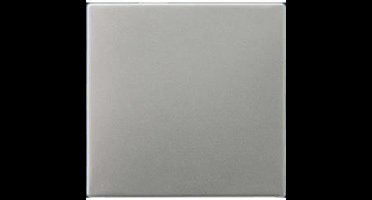 Jung Aluminium/Goudstaal/Chroom Bedieningselement/Centrale Plaat Schakelmateriaal - ES2990 - E28CF