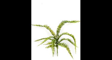 Kunstplant varen 58 cm