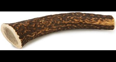 Beeztees Hertengewei - hondensnack - L - 160 gram