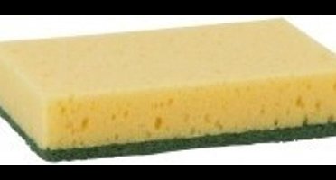 Schuurspons extra zwaar ca. 95x68x30mm s