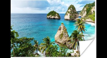 Poster Stenen - Mos - Strand - 30x20 cm