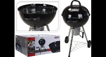 Barbecue met asopvangbak - 57x100cm