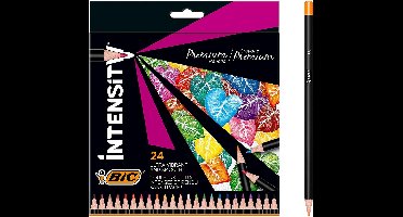 BIC Intensity Premium - Kleurpotloden - Kinderen en volwassenen - Grijs - Potlood - 24 Stuks