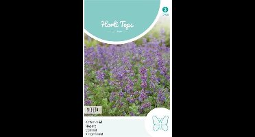 Hortitops - Kattekruid Bloemzaad - Nepeta mussinii