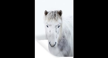 Muurstickers - Sticker Folie - Paard - Sneeuw - Wit - 20x30 cm - Plakfolie - Muurstickers Kinderkamer - Zelfklevend Behang - Zelfklevend behangpapier - Stickerfolie