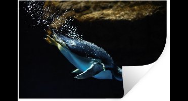 Muurstickers - Sticker Folie - Een pinguïn zwemt in het donkere water - 30x20 cm - Plakfolie - Muurstickers Kinderkamer - Zelfklevend Behang - Zelfklevend behangpapier - Stickerfolie