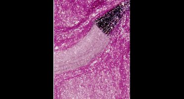 Opi Nagellak Rainbow-a-go-go Dames 15 Ml Glitter Fuchsia