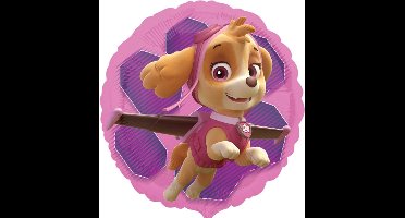 PAW Patrol - Ballon - Folie - Skye & Everest - 43cm - Roze - 1 stuks