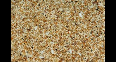 Wielink Parkiet extra mengeling 20KG