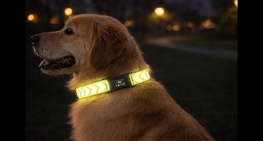 Halsband hond – Fergu Fluo geel L – 45–65 cm – 25 mm breed – nylon – reflecterend – traploos verstelbaar – kliksluiting