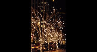 Showtec LED Rubber Static String Light WW 10 meter