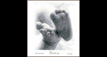 Vervaco - Telpakket kit - Geboorte - Babyvoetjes - PN-0149170 - Borduren - Borduurpakket - Borduurpakket geboorte - Borduurpakket volwassenen