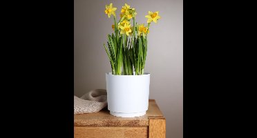 Boraboi® Set van 3 stijlvolle witte kunststof bloempotten voor planten binnen en buiten, Kunststof, Wit, 17,5 x 17,5 x 15,7 cm