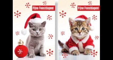 10 Luxe Kerst- en Nieuwjaarskaarten 2 x 5 dubbele kaarten met enveloppen - Kerst 07 Poezen - Gratis verzonden