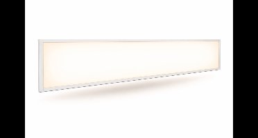 LED Paneel 120x30 - UGR <19 - 25W - 160Lm/W - 3000K - 7 Jaar Garantie - Energieklasse C