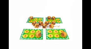 Lolly Dog - Geronimo Games - Blue Orange - kinderspel - memory- vanaf 4 jaar oud - van 2 tot 4 spelers