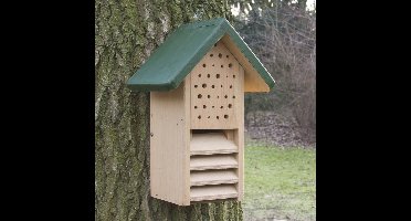 Duokast bij en lieveheersbeestje - Groen