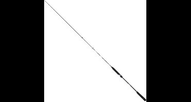 Sakura Ryokan Sw Jigging Hengel Zilver 1.93 m / 90-200 g