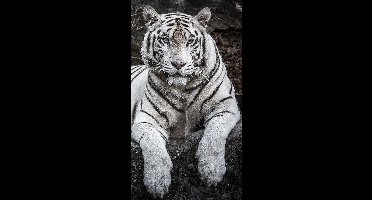 Microvezel strandlaken tijgerprint 75 x 145 cm