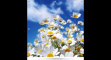 Tuinposter Tuindoek Bloemen 100x100cm - bevestigingsogen om de 30 cm - Schuttingposter - Haarscherp