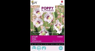 Buzzy® Poppies of the world - Papaver Blauwmaanzaad