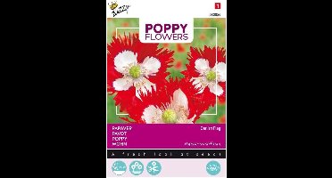 Buzzy® Poppies of the world - Papaver Deense Vlag