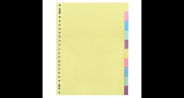 SOHO Tabbladen karton 10–delig – Gekleurd karton – Geschikt voor 2,4 en 23 ringsbanden – Blanco