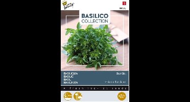 Buzzy® Basilicum Greek Basil Bush Ball