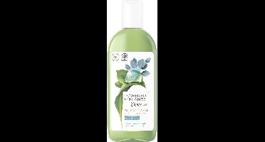 Dove Powered by Plants Oil Body Wash Eucalyptus Douchegel - 250 ml