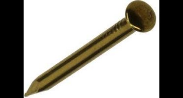 Mack Nagel Bolle Kop 100 gram 1,5 x 20 mm