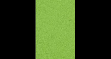 Amscan Tafelkleed Kiwi 137 X 274 Cm Kunststof