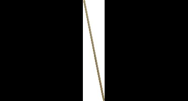 Vero Bezemsteel - FSC Hout - 120cm - 23,5mm doorsnede