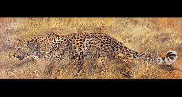 Kunstdruk Renato Casaro - Wanted 99x34cm