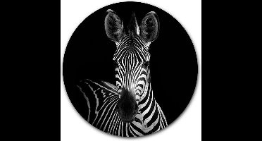 Wandcirkel Zebra Portret - WallCatcher | Geborsteld Aluminium 140 cm | Muurcirkel Zebra Portait