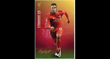 Liverpool FC Poster - Sturridge - 91 X 61 Cm - Multicolor