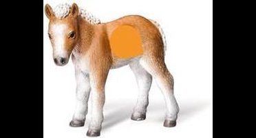 tiptoi® speelfiguur Falabella veulen - Ravensburger - Leersysteem