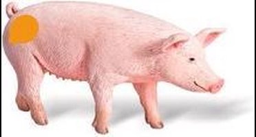 tiptoi® speelfiguur Varken - Ravensburger - Leersysteem