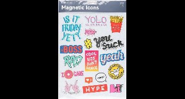 Doiy Pictogrammen Magnetisch 32 Cm 17 Stuks