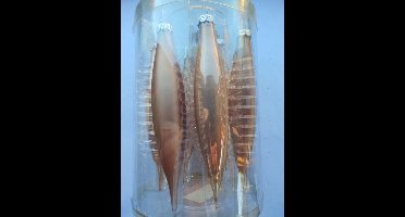 kerst kegels  6 glazen kegels in Taupe