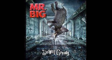 Mr Big - Defying Gravity (CD)